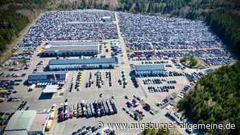 Hier parken tausende Autos im Wald – und von der Krise ist keine Spur