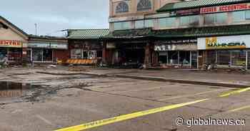 Businesses gutted by fire at southeast Edmonton strip mall