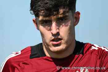 £40m signing has given Newcastle United something they were not expecting