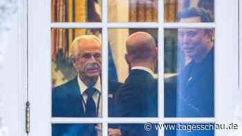 Musk kritisiert Trump-Berater: "Dümmer als ein Sack Ziegel"