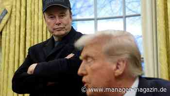 Elon Musk: Tesla-Chef beschimpft Donald Trumps Zoll-Architekten Peter Navarro (Kopie)