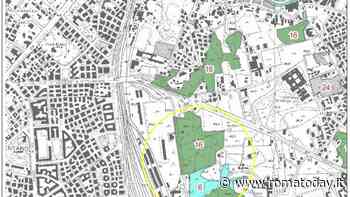 Stadio della Roma, Marino e M5s chiedono lo stop: “Lì c’è un bosco”