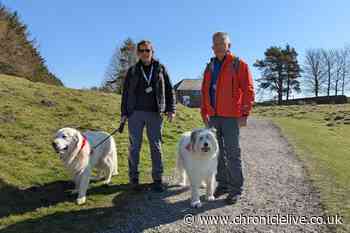 Historic Northumberland attraction looking for dog rangers to greet visitors on Hadrian's Wall