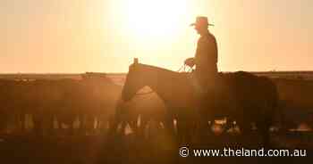 'I feel sorry for anybody that isn't me': droving the life for Bill Skinner