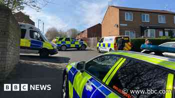 XL Bully 'low risk' after being shot - police