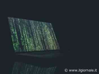 "Così preveniamo gli omicidi". Arriva l'algoritmo per individuare i potenziali killer