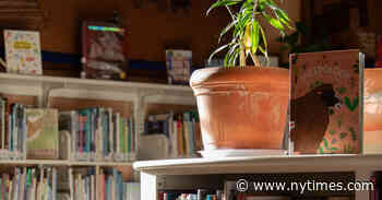 American Library Association Sues to Stop Trump Cuts