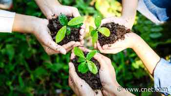 9 Garden Tools You Need (and 7 You Don't), According to Experts