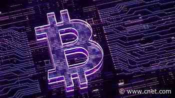 Did Bitcoin Get Riskier? Trump Admin Cuts Crypto Enforcement Team and Reduces Oversight