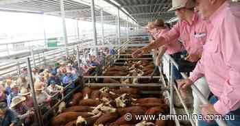 Australian agribusiness stocks rebound after initial Trump tariff shock