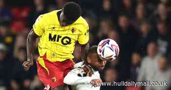 Ruben Selles bemoans Hull City's lack of cutting edge as Tigers suffer narrow Watford loss