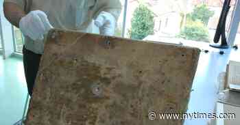 The Skin on Mysterious Medieval Books Concealed a Shaggy Surprise