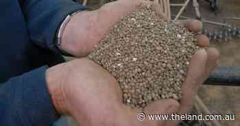 High prices testing global fertiliser affordability | Global perspective