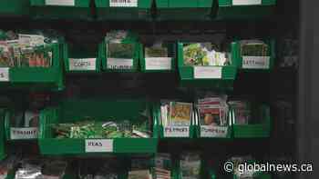 Edmonton’s Food Bank launches a seed bank