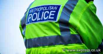 Blackheath Common: Arrests made as 'large group of youths' runs amok