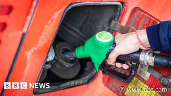 UK investigating claims green fuel contains virgin palm oil