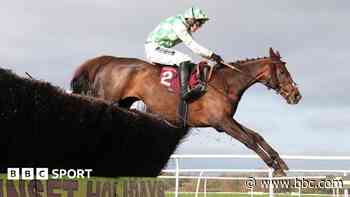 Grand National horse that collapsed after final fence dies