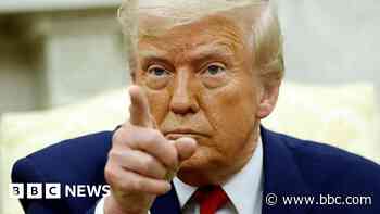 Who are the tariff 'PANICANS' derided as 'weak and stupid' by Trump?