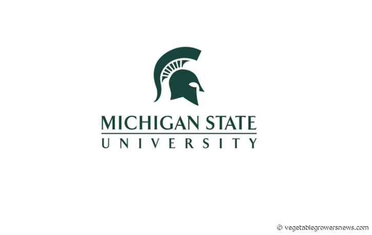 MSU recognizes ag leaders