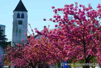 Nog meer roze kleurenpracht? Ook op deze 4 plekken in Gent kan je mooie foto’s maken