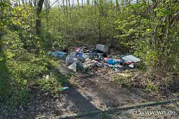 Illegaler Müll in der Stadt: Anzeigen mehr als verdoppelt