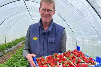 Mindestlöhne lassen die Spargelfelder schrumpfen