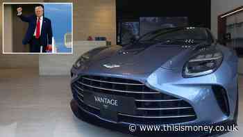 Carmakers hit by a 'black swan event' from Trump's trade war