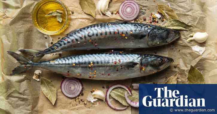 Mackerel stocks near breaking point because of overfishing, say experts