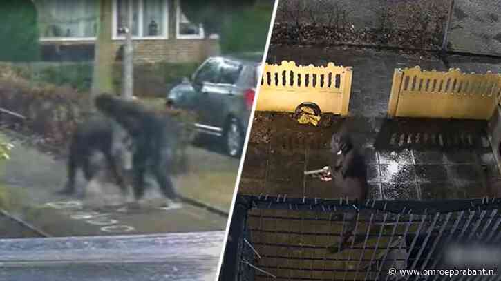 Dakdekkersoorlog: vier explosies, intimidatie en vernieling bij zelfde huis