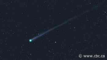 There's a new comet in the sky, and it's already visible through binoculars