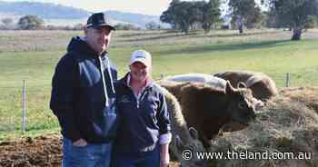 Submit your nominations here for the 2025 The Land Beef Week event