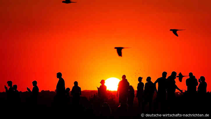 Der Aufstieg moderner Genussmittel – was hinter dem anhaltenden Wachstum steckt