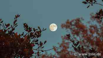 Vollmond am 13. April: 3 Sternzeichen werden vom Glück geküsst