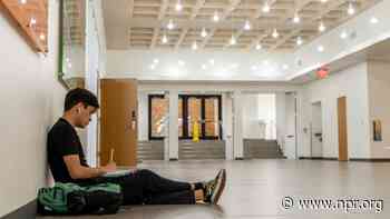 Americans without a degree still believe in the value of college, a new poll says