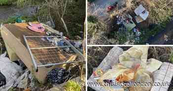 'Appalling' fly-tipping that 'smells really bad' blights Dagenham nature reserve