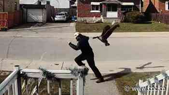 WATCH | #TheMoment angry geese trapped university students inside their home for days