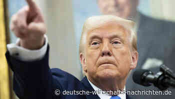 Weißes Haus: Deshalb bleibt Russland von neuen US-Zöllen verschont - die offiziellen Gründe