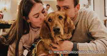 Care home puts on charity night in Highgate for dogs in need