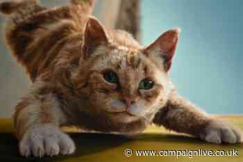 Dreamies campaign shows CGI cats clinging to delivery van for treats