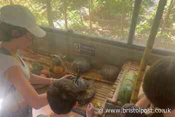 Mum almost lost two fingers chopping fruit on holiday in Thailand