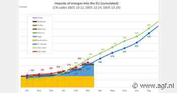 EU importeert 342.000 ton sinaasappelen in maart