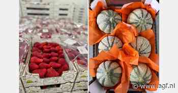 Goede vraag naar Italiaanse aardbeien en meloenen