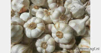 Spaans knoflookareaal +5%