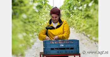 Rotterdam en Westland trekken samen op tegen Haags plan tegen grootschalige huisvesting arbeidsmigranten