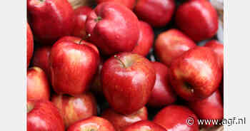 Stijgende fruitprijzen maken gezonde voeding een luxe voor Nigerianen