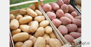 Aardappelsymposium op Macfrut