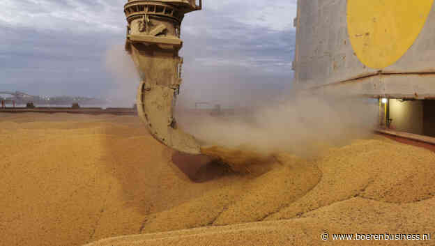 Rusland blijft marktleider op mondiale tarwemarkt