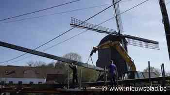 Nieuwe wieken voor Haenvense molen na 125 jaar trouwe dienst: “Dit kon ik niet uitstellen tot ik mijn tachtigste”