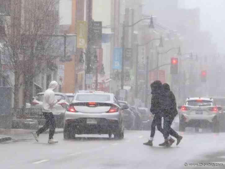 Both risk and opportunity in tariffs, Kingston and the Islands candidates say