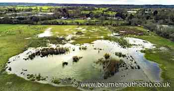 'Absurd' plans for 140 homes near nature reserve should be refused, say councillors